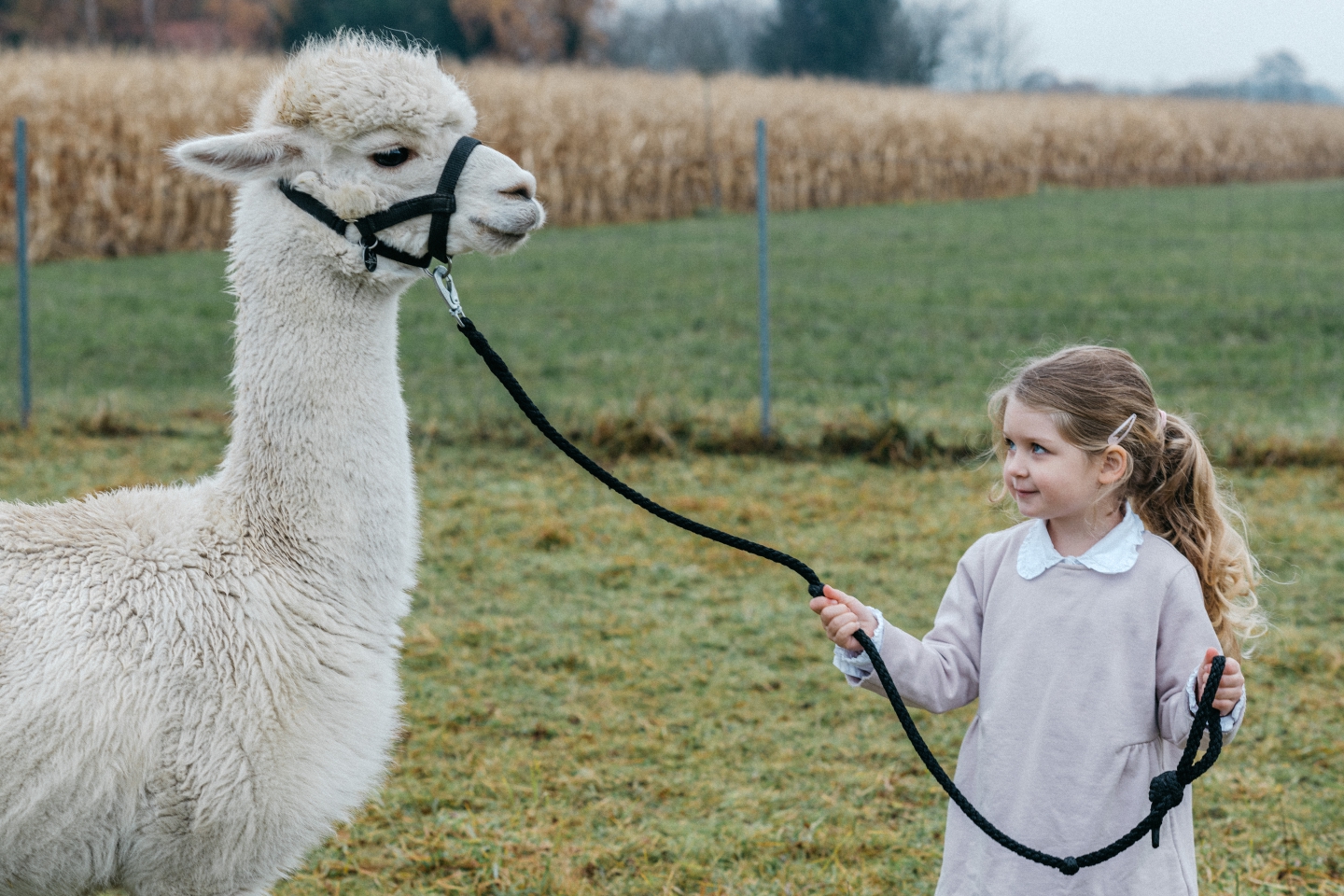 familien-und-babyfotografin-in-muenchen